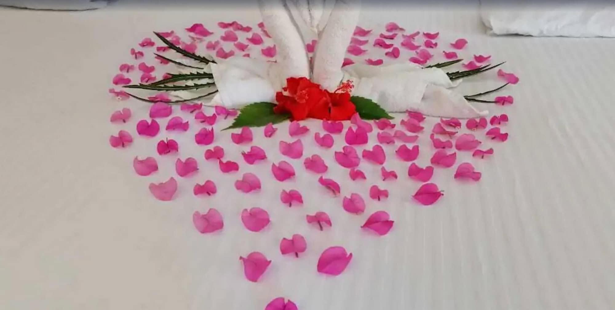 Casa Natalia Boutique Hotel Adults Only San José del Cabo المظهر الخارجي الصورة