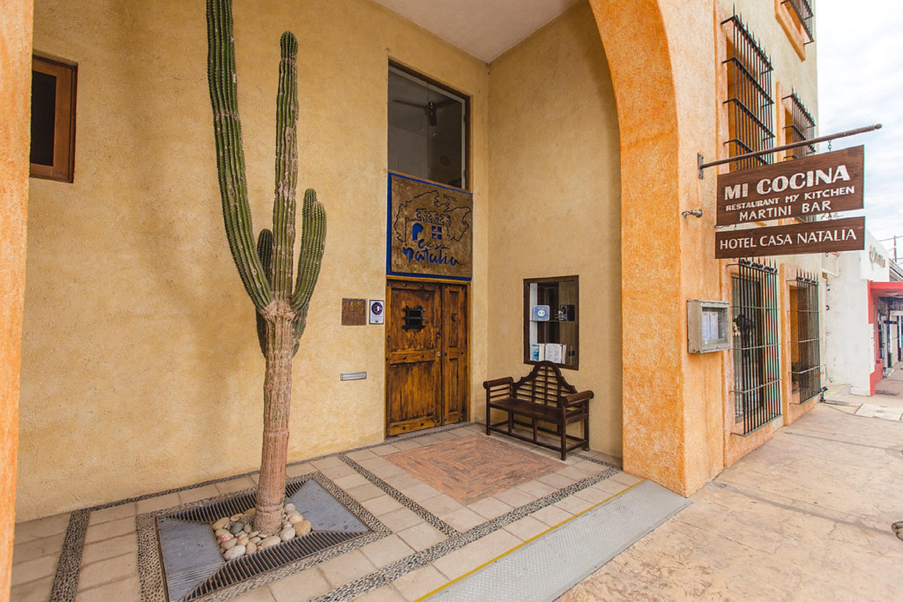 Casa Natalia Boutique Hotel Adults Only San José del Cabo المظهر الخارجي الصورة