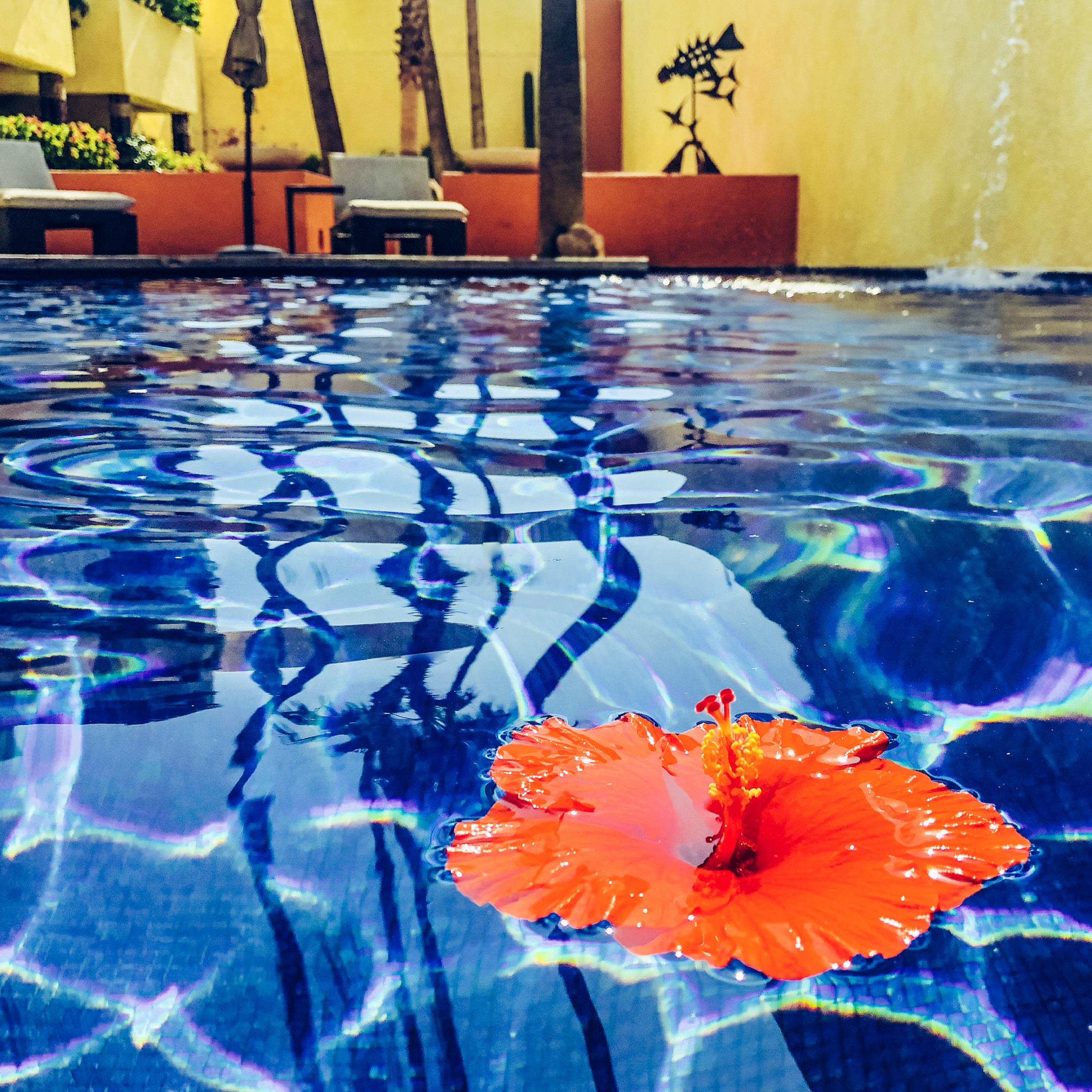 Casa Natalia Boutique Hotel Adults Only San José del Cabo المظهر الخارجي الصورة